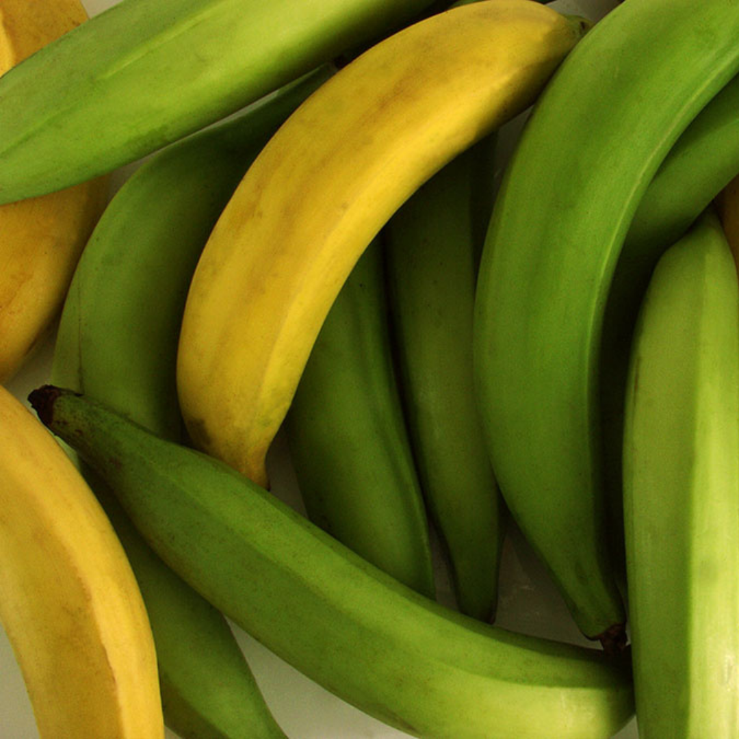 A history of the plantain in five steps